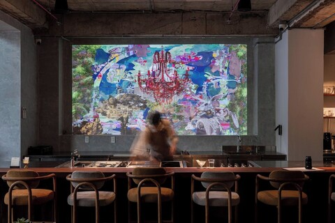 아니마, 베트남 현대 미술 부티크 호텔