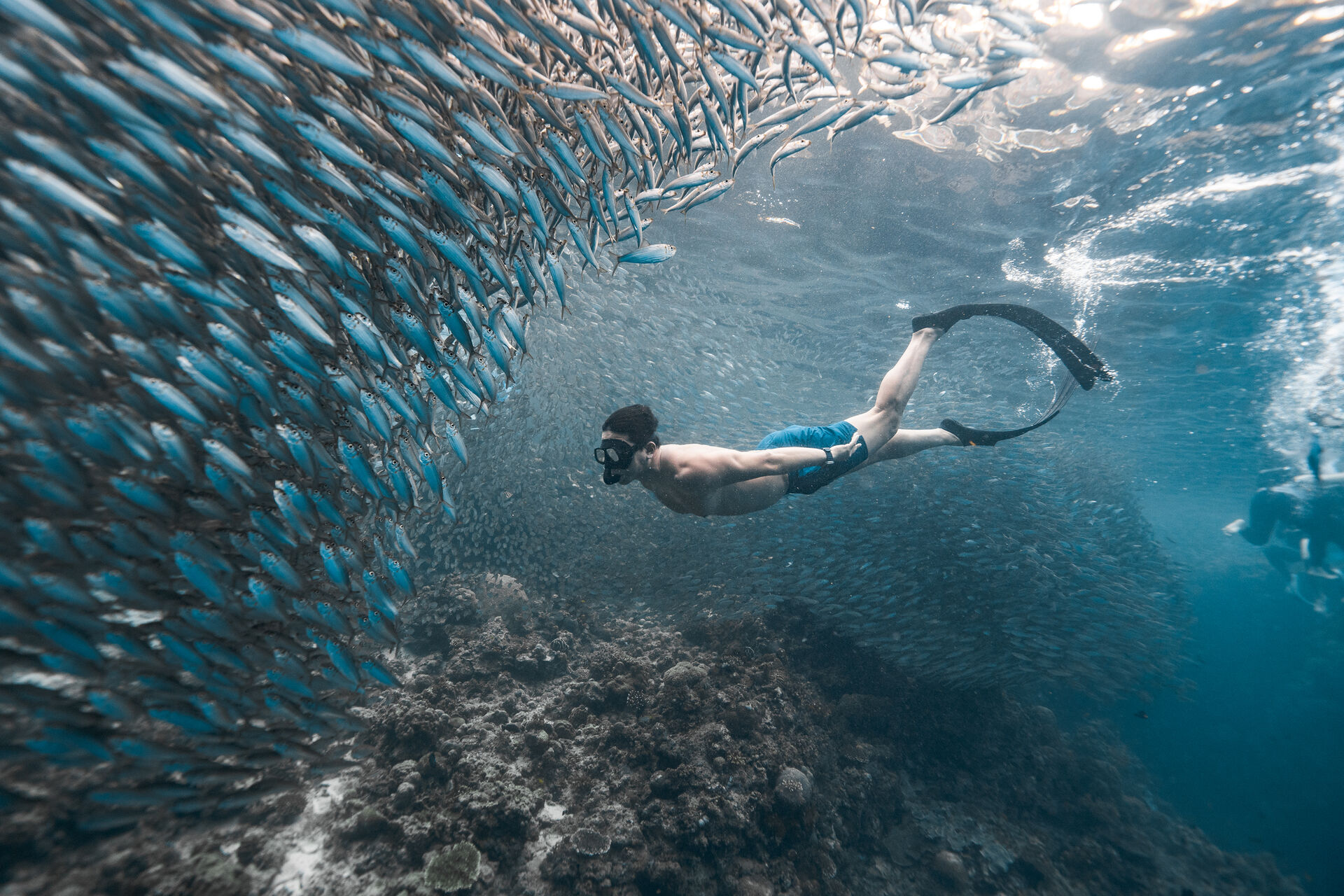 여행 상품 이미지