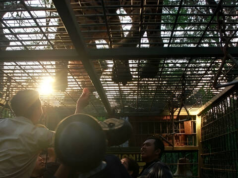 product-thumbnail-2