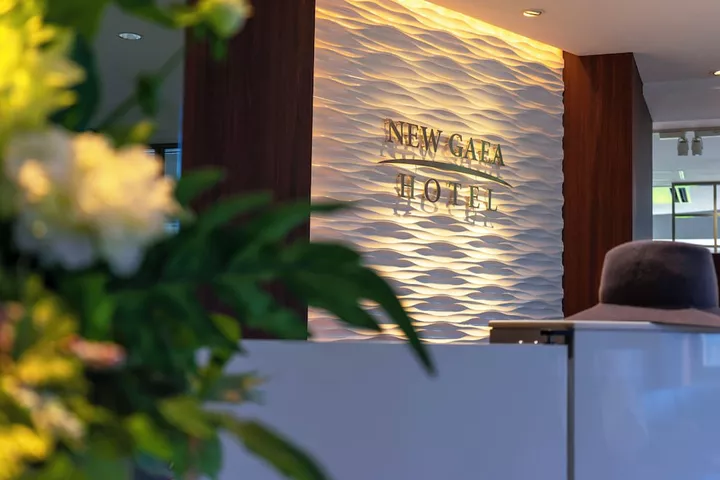 Hotel New Gaea Domemae