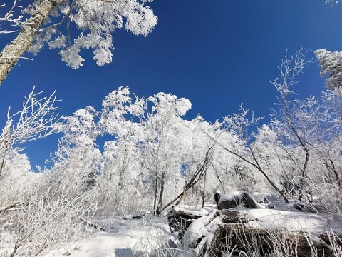 쉐구 신푸 게스트 하우스