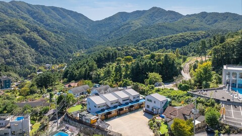 가평 베일리 애견 풀빌라 펜션