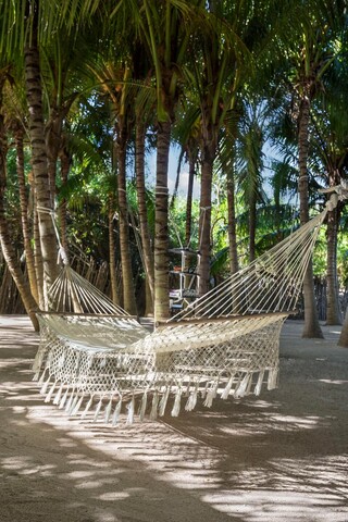 El Dorado Seaside Palms Spa Resort-All Inclusive