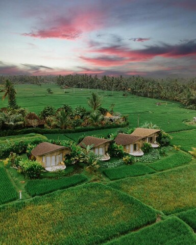 IPIAN 친타 바이 제뉴인호스트