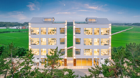 강릉 강릉 퍼피 애견풀빌라