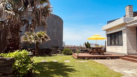 제주 느영나영고치