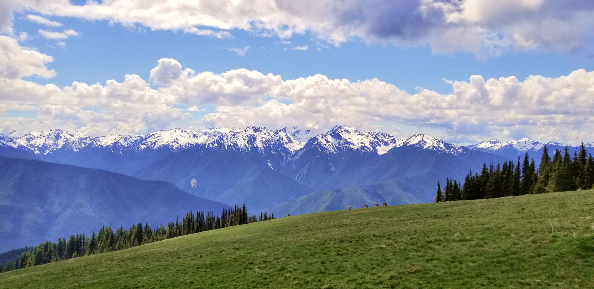 여행 상품 이미지