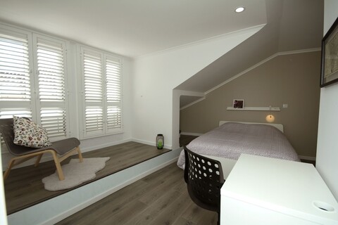 알파마 라이트 포인트