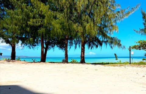 아쿠아리어스 비치 타워