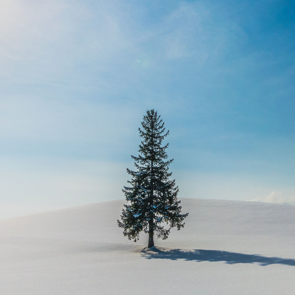 여행 상품 이미지