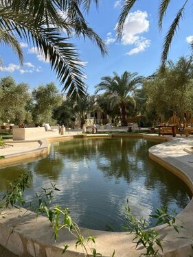 Meddur Siwa Oasis