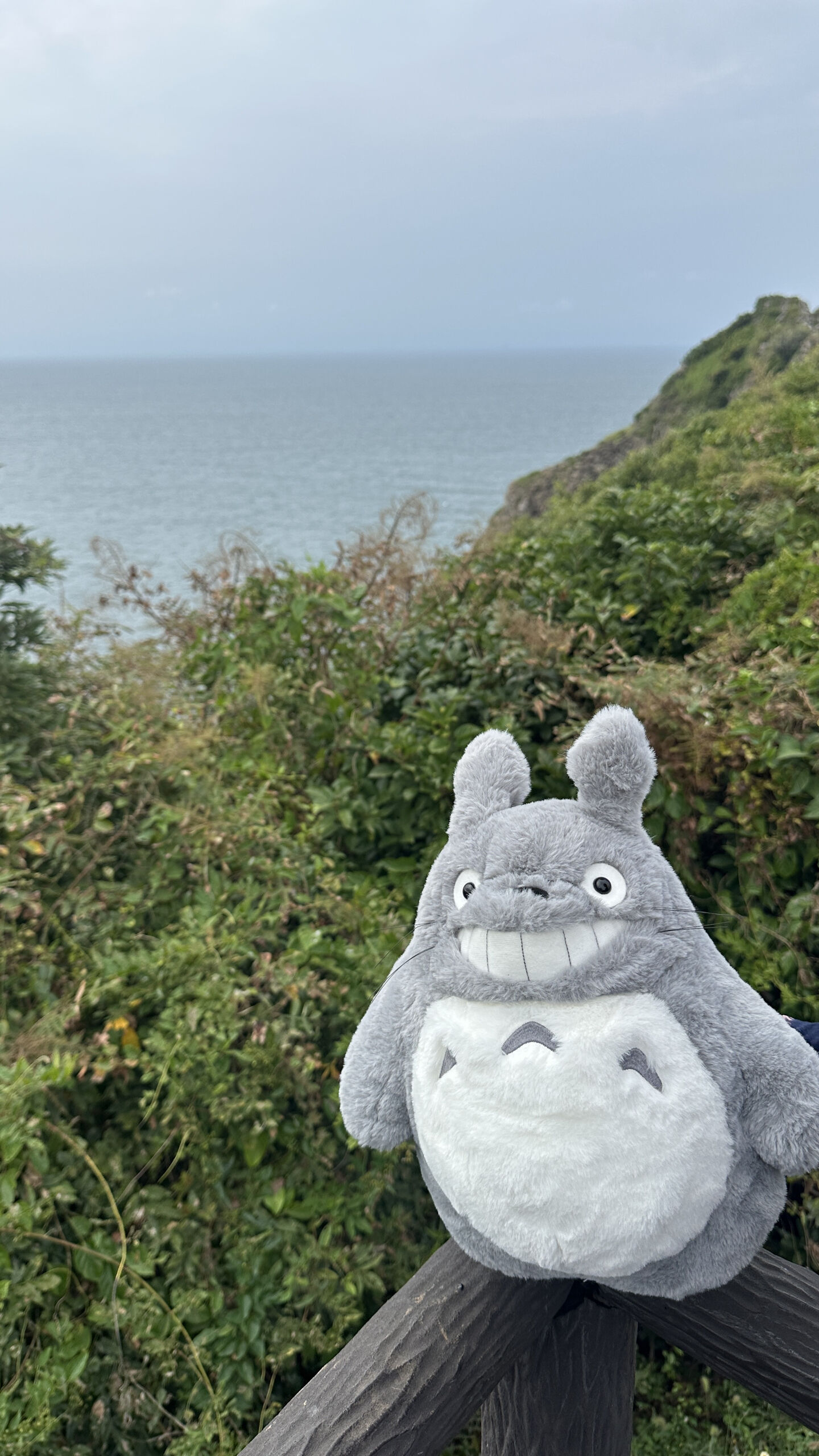 후기 사진