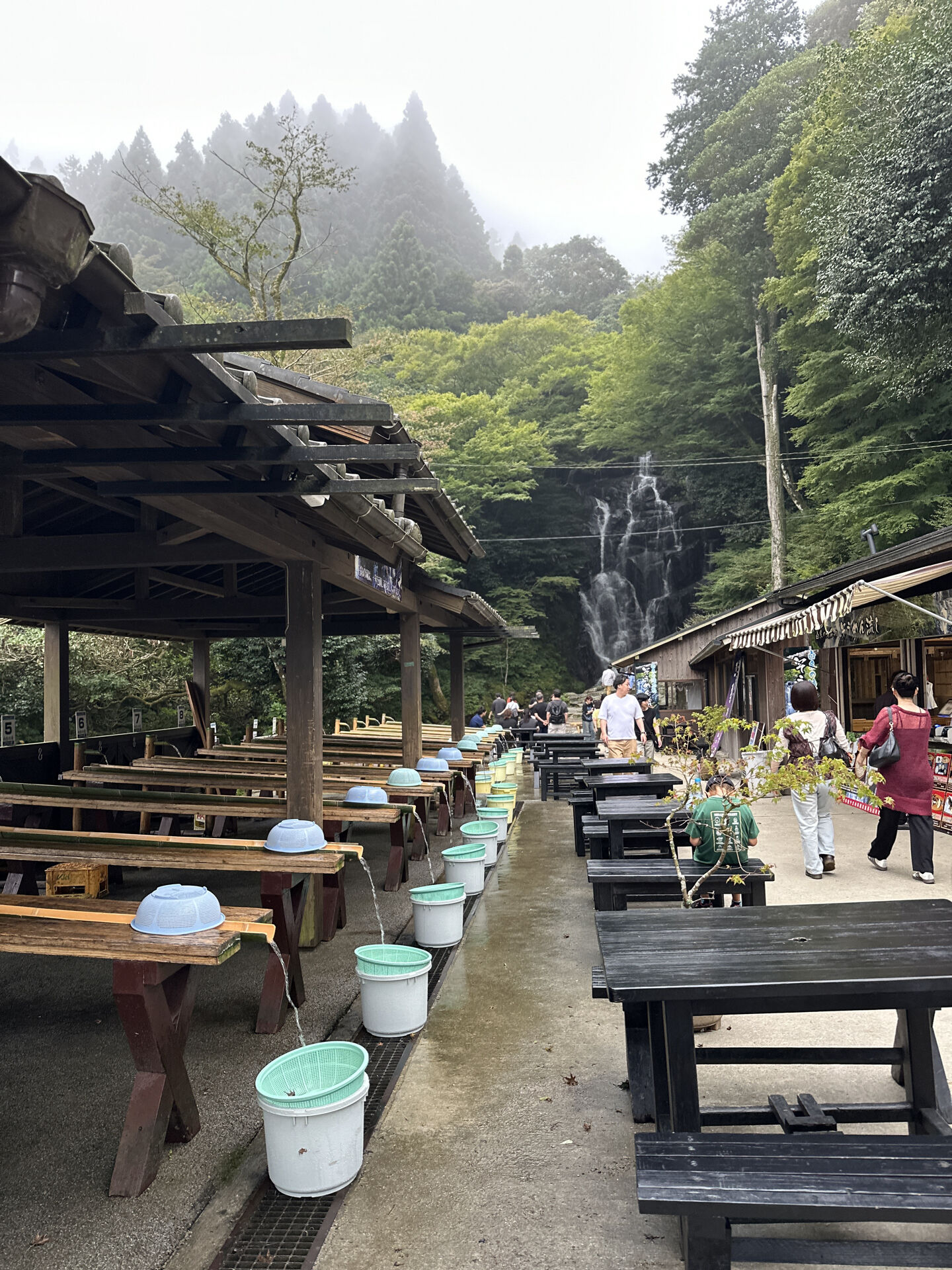 후기 사진