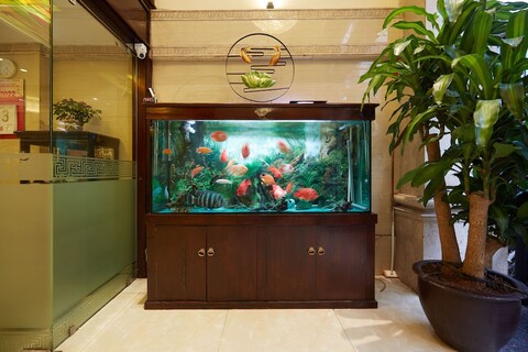 하노이 칼리도 호텔