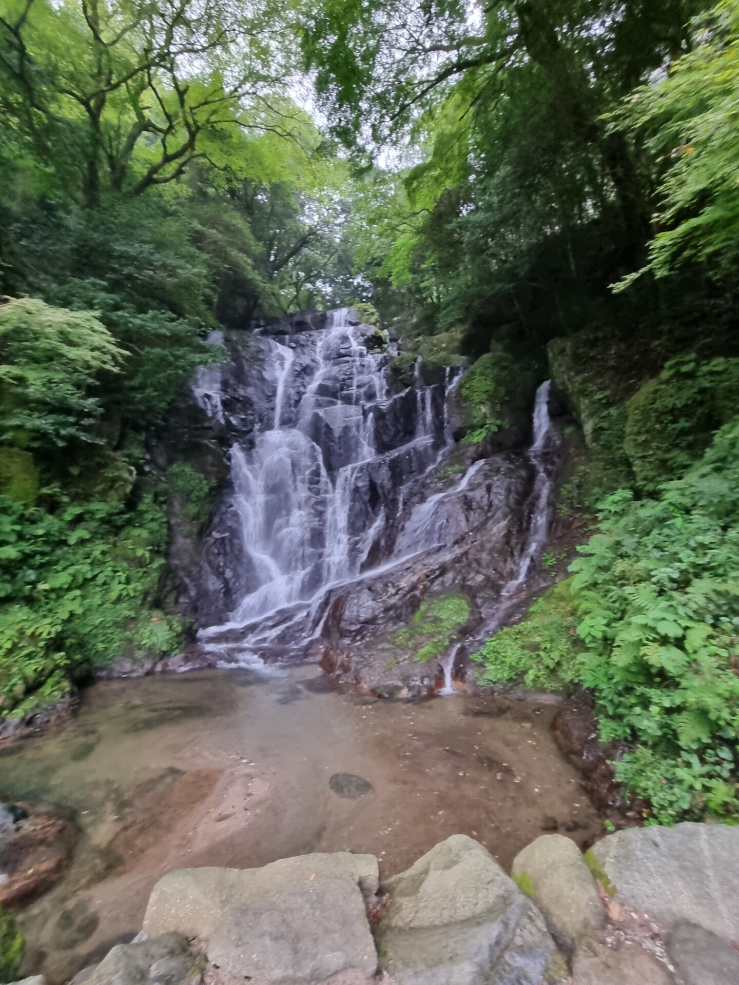 후기 사진