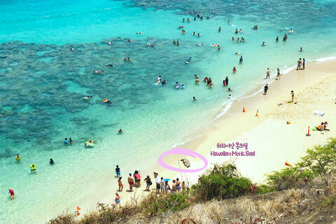 product-thumbnail-2