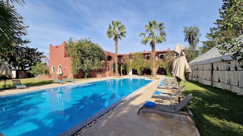 팰리스 아프리카