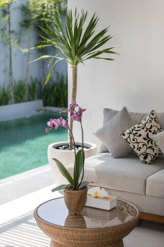 페노사 세미냑 빌라스 바이 나기사 발리