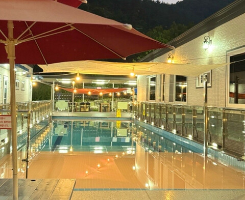 고성 다이노 꽃밭에서