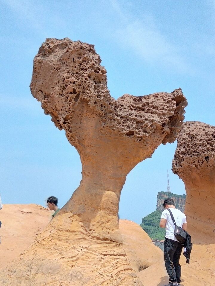 대만 기륭 지룽 크루즈 기항지 일일투어 원데이 투어 스펀 천등날리기 예류지질공원 A코스-i