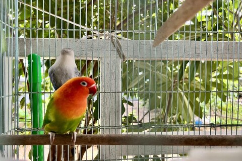 Bann Kam B&b By Zuzu