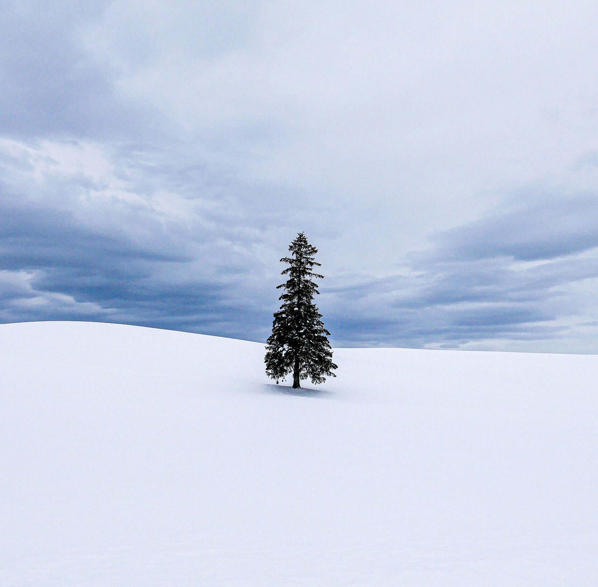 여행 상품 이미지