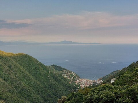 아다지오 라벨로