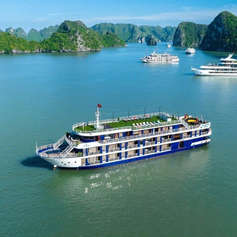 Dragon Premium Cruise