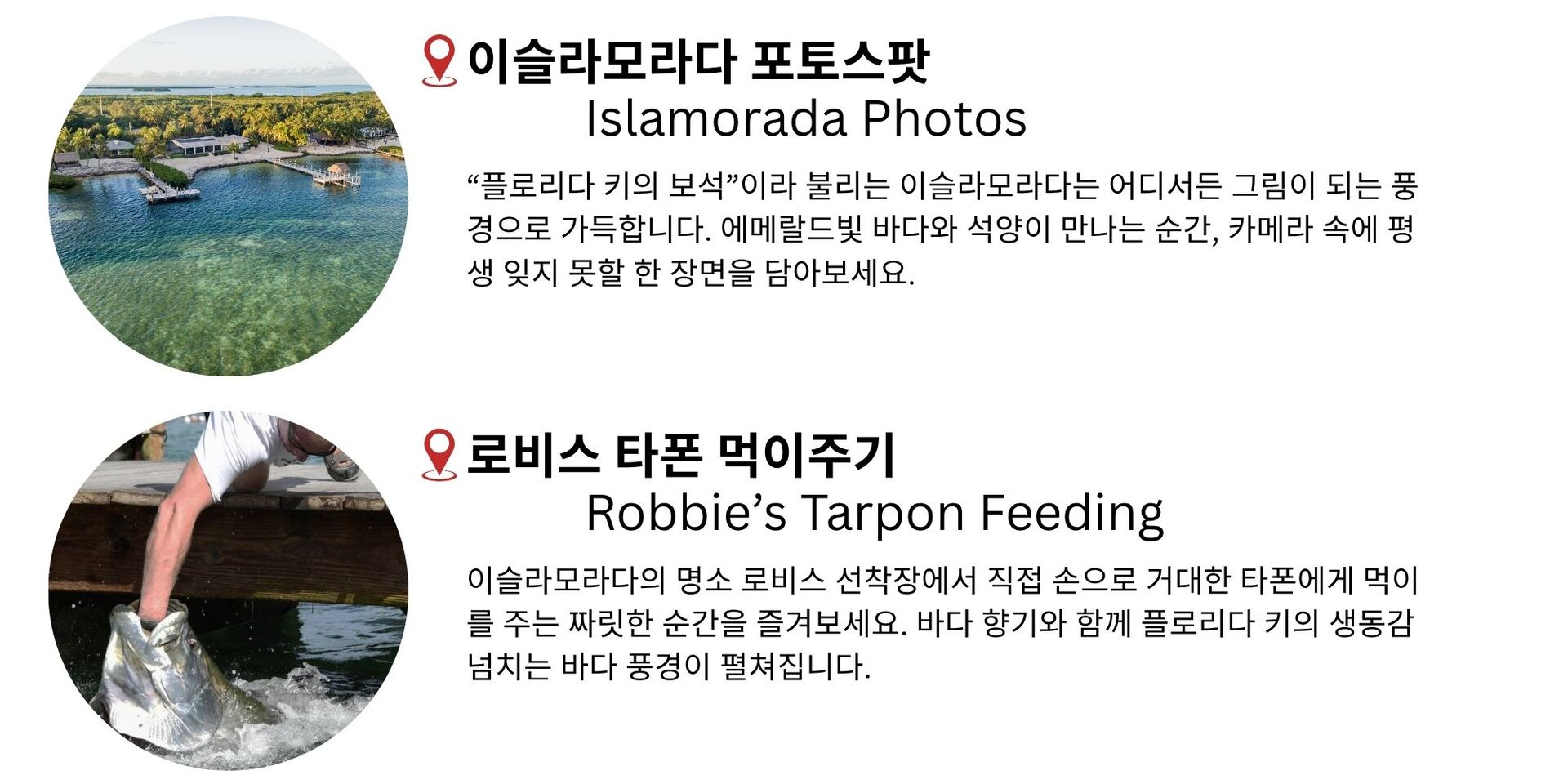 하루에 담는 키웨스트 낭만 – 7마일브리지 감성 선셋투어 상세 이미지 3