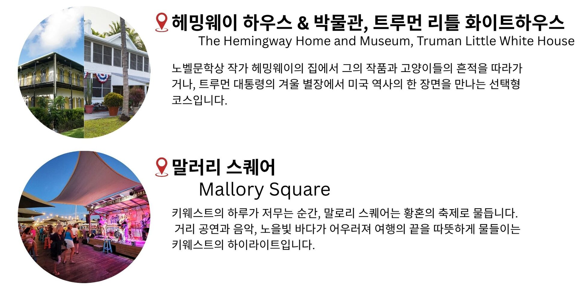 하루에 담는 키웨스트 낭만 – 7마일브리지 감성 선셋투어 상세 이미지 6
