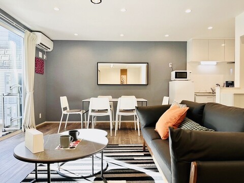 메구 후지 플러스+