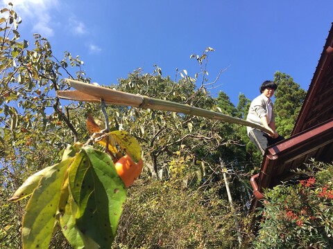 고에몬 교토 일본