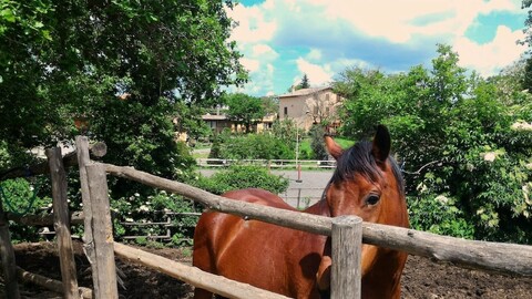 아그리투리스모 산 필리포