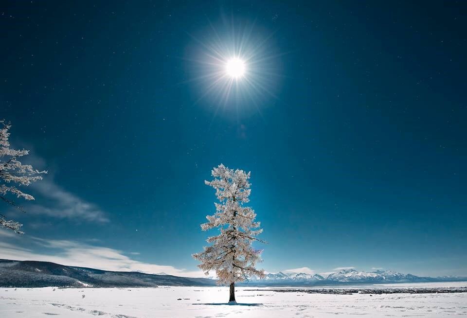 [몽골] 홉스골+차탄족 투어5박 6일 