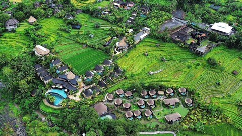 더 와파 럭스 텐트