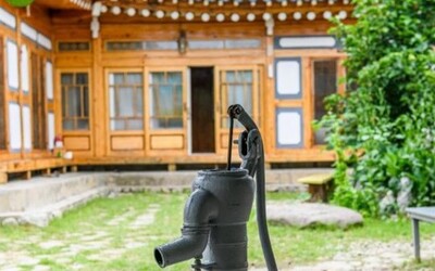 속초 복돌네