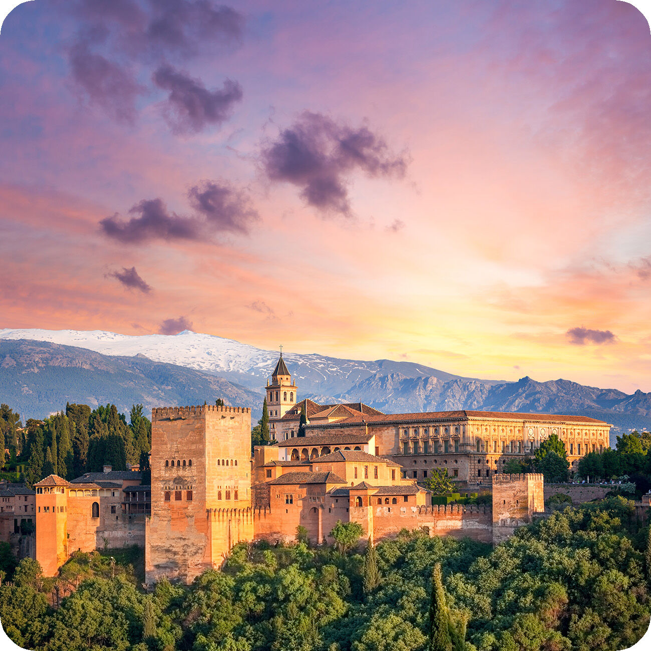 여행 상품 이미지