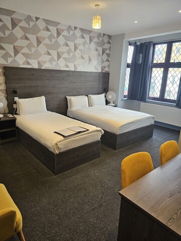 카수아리나 트리