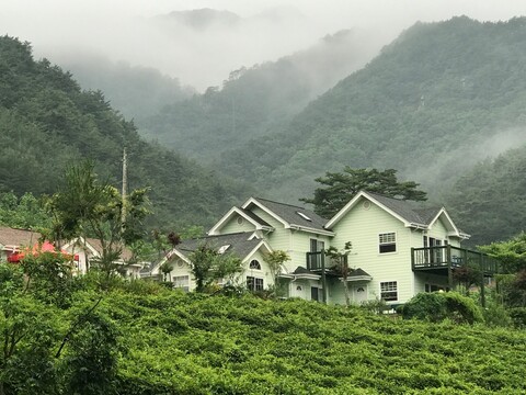 인제 자작향기펜션