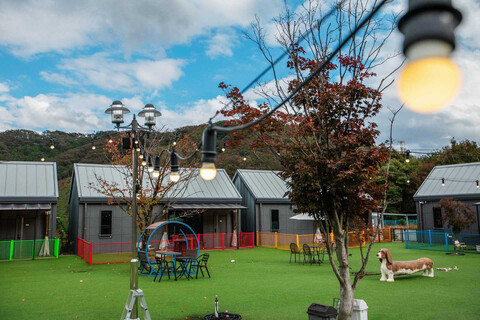 양평 별빛애견펜션