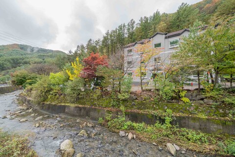 태백 더 팰리스 호텔