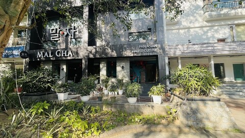 솔트스테이즈 셀렉트 - 말차 & 찬캬푸리