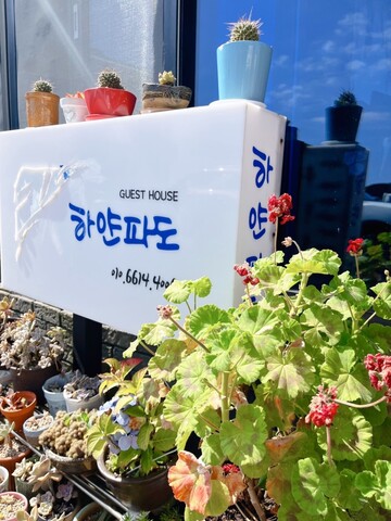 서귀포 하얀파도펜션