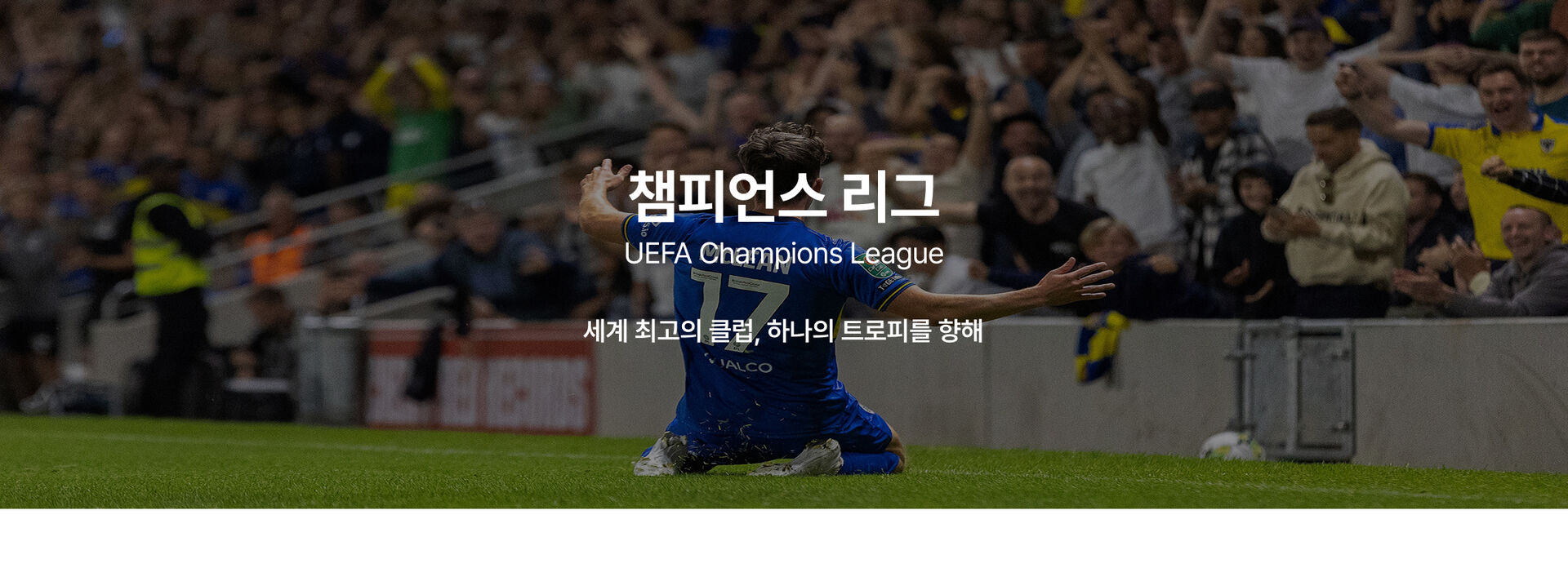 챔피언