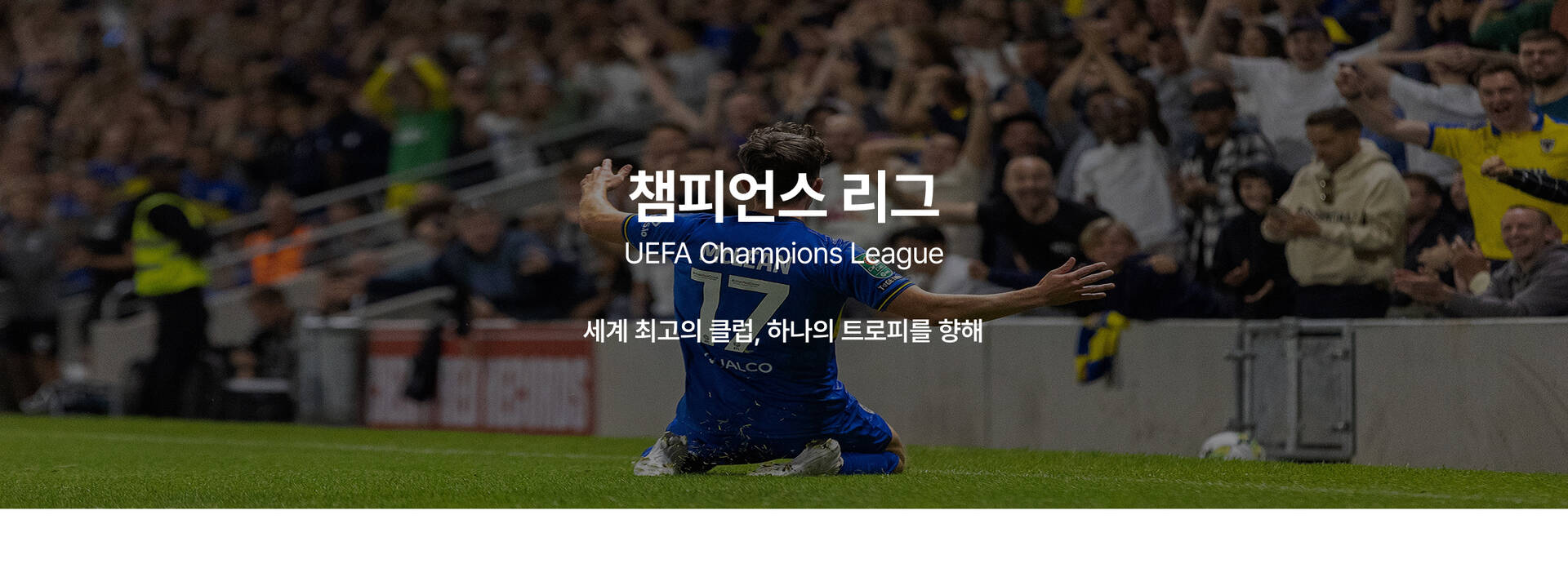 챔피언