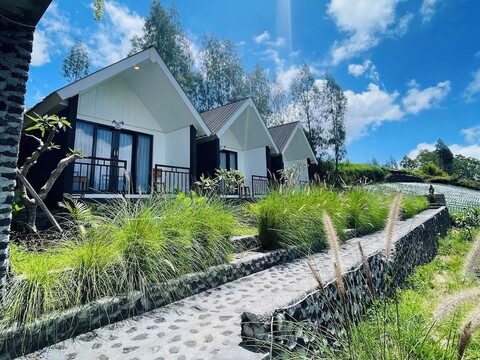 더 아이리스 킨타마니