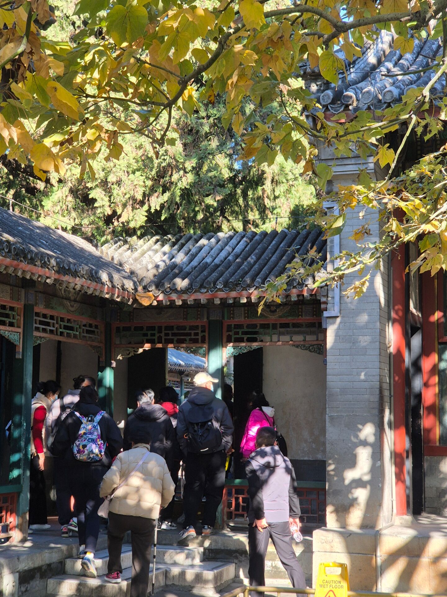 홍투어