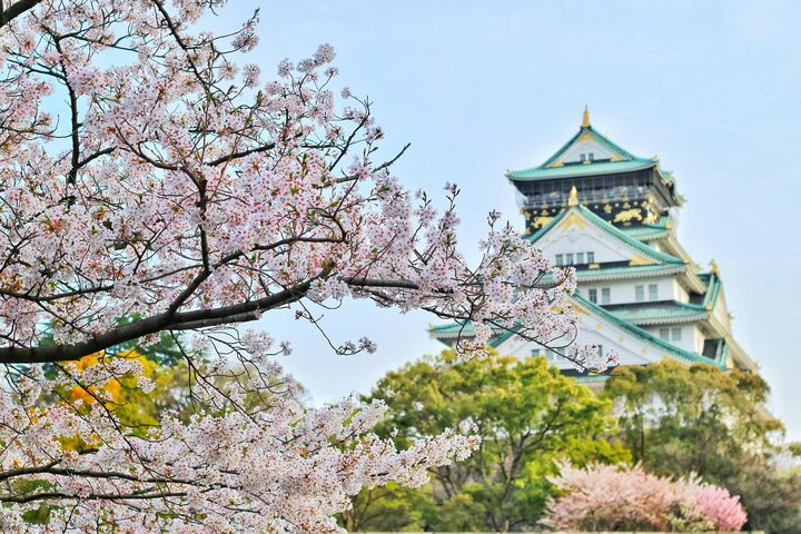 오사카 & 나라 가이드와 함께하는 1일 단독투어 오사카성 동대사 사슴공원 도톤보리 신세카이-i