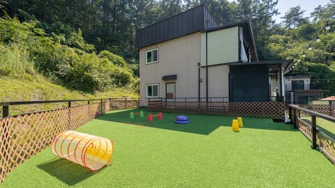 홍천 스톤아일랜드애견펜션