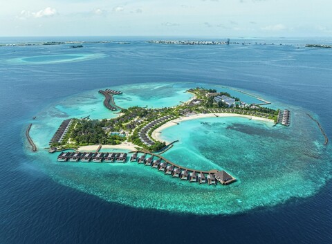 두싯D2 페이드후 몰디브